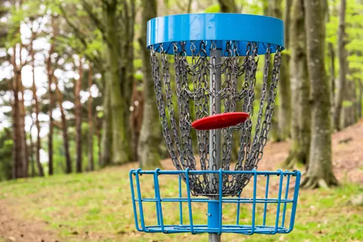 A disc golf goal with a red disc that has landed in it