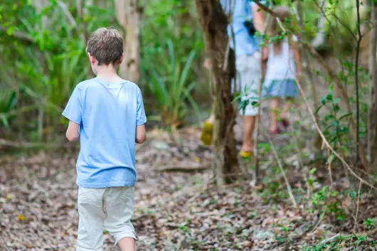 Kids walking in the woods