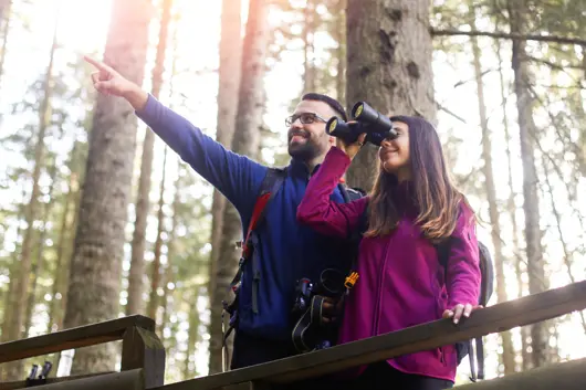 A man is pointing as a woman looks through binoculars, they are birdwatching